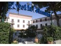 Details : Elba Hotel La Primula