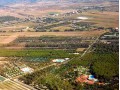 Details : Camping Marina di Bibbona holiday in bungalow Tuscany Coast Livorno